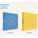 BOYZ - Bloom Bloom CD