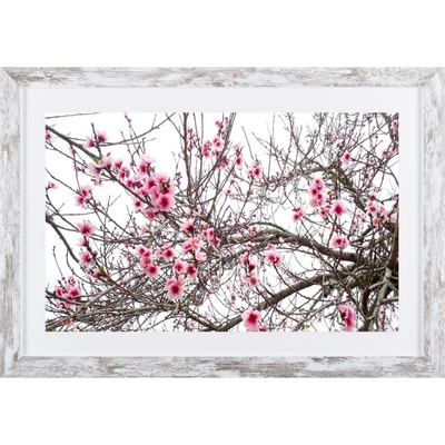 Bondecor Obraz v modernom ráme Modern 37 x 53 cm