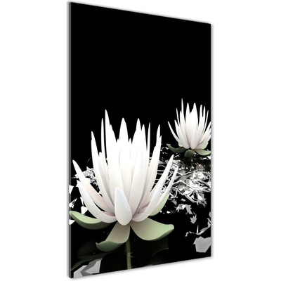 Vertikálny foto obraz fotografie na skle Kvet lotosu 50x100 cm