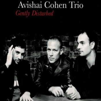 Avishai Cohen - Gently Disturbed (LP) (5051808460713)