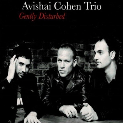 Avishai Cohen - Gently Disturbed (LP) (5051808460713)