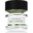 BMW Bergamood EDP 100 ml Tester