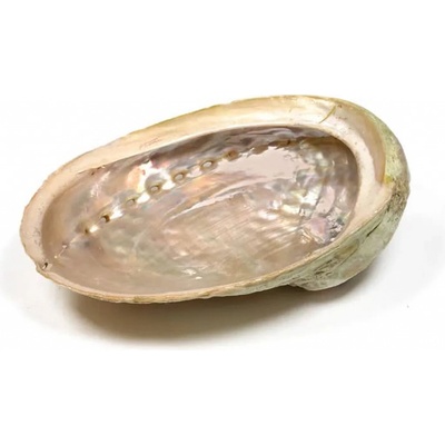 Milujeme Kameny vykuřovací mušle Abalone - maxi – Zbozi.Blesk.cz