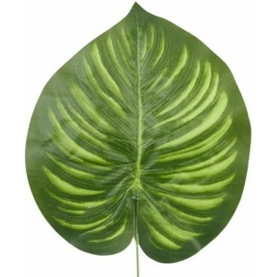 Umelý list Calathea 41 cm