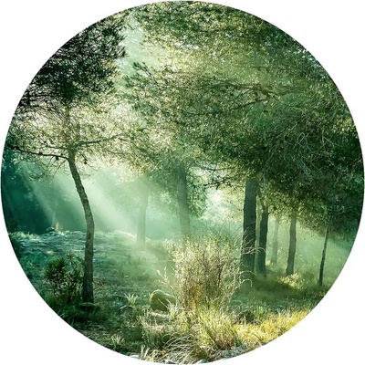 ProArt Kovový obraz Forest Harmony VI, ø 100 cm, DG658L