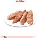 Royal Canin Dermacomfort 12 x 85 g