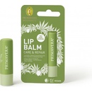 Primavera Regenerační balzám pro suché rty Care & Repair Lip Balm 4,6 g