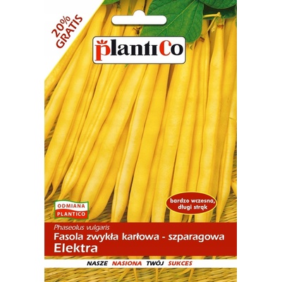 Fazuľa Elektra semená 40 g