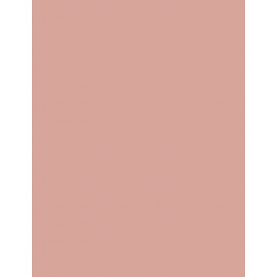 Artdeco Blusher Púderová lícenka 19 Rosy Caress Blush 5 g