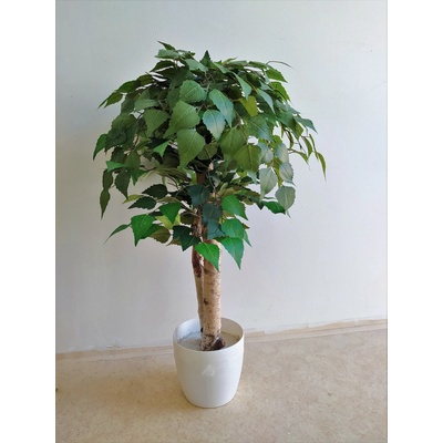 Umelá breza- 80cm