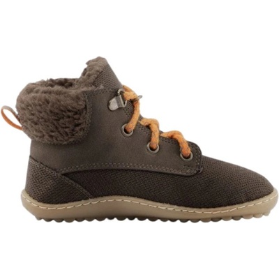 Leguanito Nicebare brown