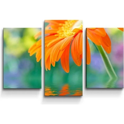 Sablio Obraz - 3-dílný Oranžová gerbera - 75x50 cm