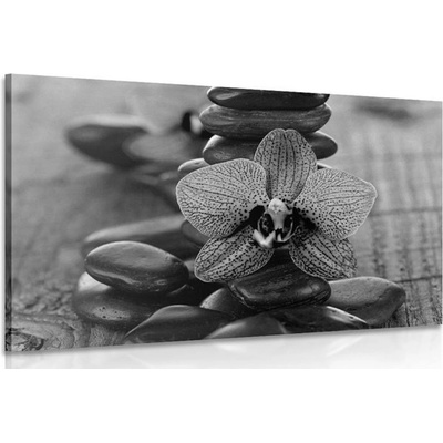 Obraz orchidea a Zen kamene v čiernobielom prevedení