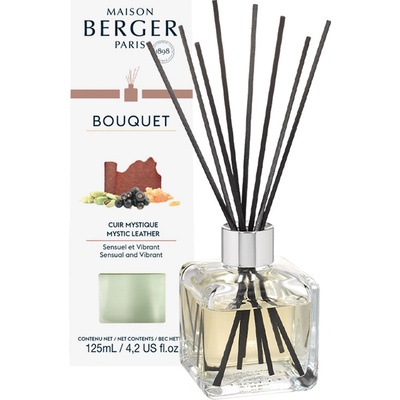 Maison Berger Paris Aroma difuzér Cube Mystická kůže 125 ml