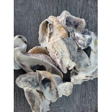 Dijk Natural Collection Mušle Oyster ústřice 100 g