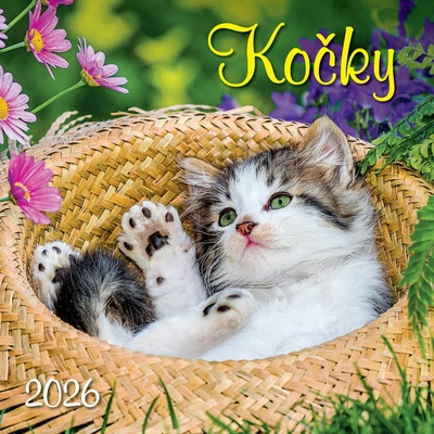 Kočky nástěnný 2026
