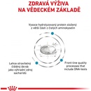 Royal Canin Veterinary Health Nutrition Cat Anallergenic 2 kg