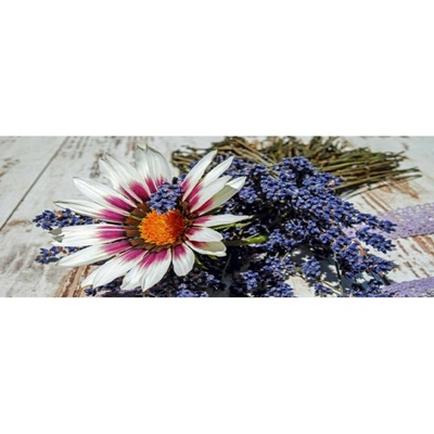 Bondecor Obraz tisk na plátno, 50x120 cm, Gazánie