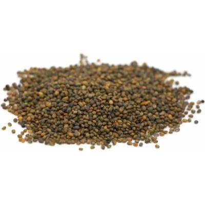 Microgreens Rukola 500 g