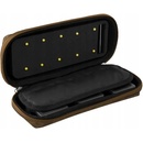 Delphin Area RIG Carpath