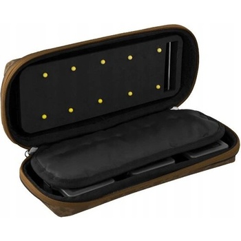 Delphin Area RIG Carpath