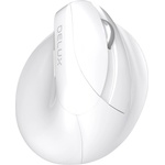 Delux M618 Mini + G27UF_WH_VZ