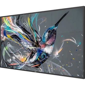 Philips 55BDL3511Q