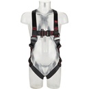 3M Protecta