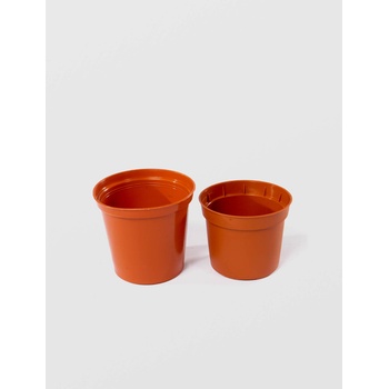 Sterk Plast РК Сксия за разсад малка 7 см (396606)