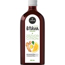Leros Šťáva Zázvor 250 ml