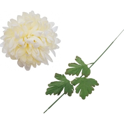 Chryzantéma vanilková 65 cm, sada 6 ks