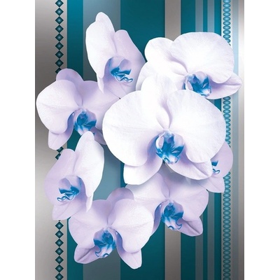 Preinterier Fototapeta panel - PL0108 - Biele kvety na modrom pozadí vlies - 206cm x 275cm