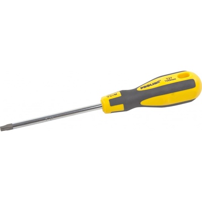 Proline Skrutkovač s otvorom TORX T6x75 mm profesionálny