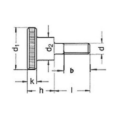 šroub M5x12 ZINEK 5.8 rýhovaná hlava DIN 464 [1 ks] – Hledejceny.cz