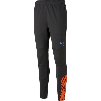 Puma Individualcup Training pants black