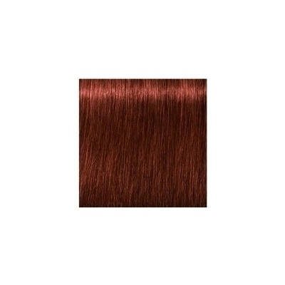 Schwarzkopf Igora Royal Absolutes 6-80 tmavá blond červená prírodná 60 ml