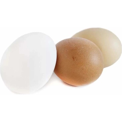 Lepaso Vajíčka reálná 12ks/6cm mix