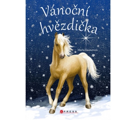 Vánoční hvězdička