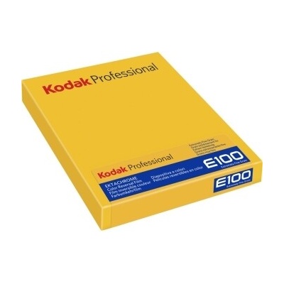 Kodak Ektachrome E100 film 8x10" 10 listov