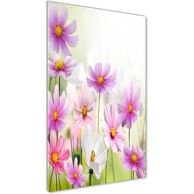 Vertikálny fotoobraz na skle Poľné kvety 50x100 cm