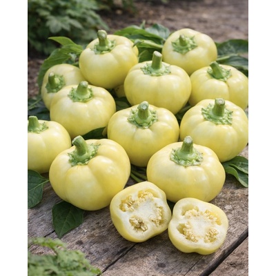 Semo Paprika sladká F1 Jablina 15s série JAZÝČKY