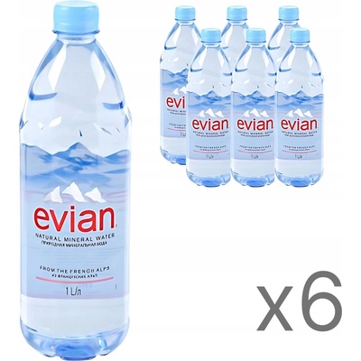 Evian Neperlivá minerální voda s nízkým obsahem sodíku 6 x 1 l