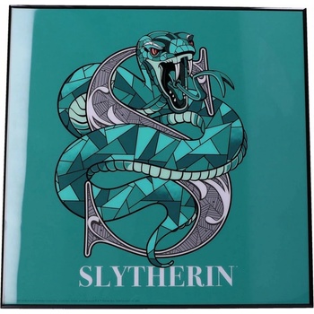 Nemesis Now Obraz Harry Potter - Slytherin Crystal Clear Art Pictures (Nemesis Now)