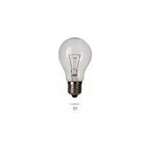 Wojnarowscy Nízkonapěťová žárovka E27 25W/ 24V MS