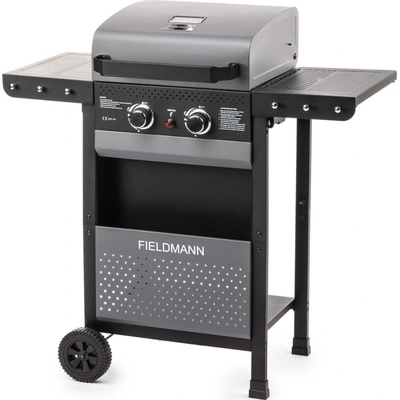 Fieldmann FZG 3000