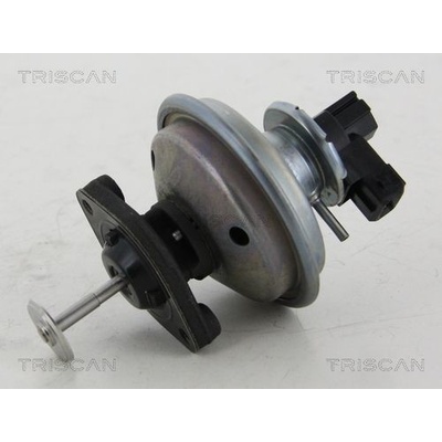 AGR-Ventil TRISCAN 8813 11002
