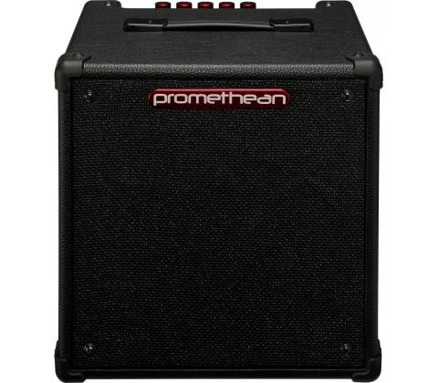 Ibanez P20