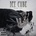 Ice Cube - Man Up (Limited Edition) (2 LP) (0085218126858)