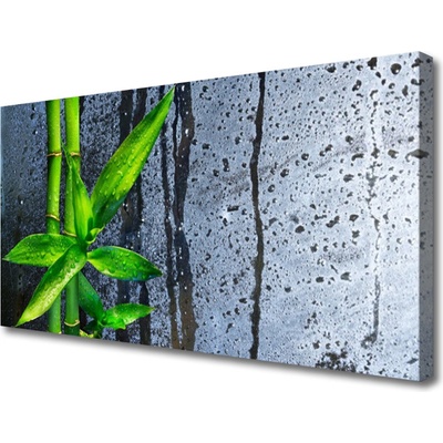 Obraz Canvas Bambus list rastlina príroda 100x50 cm