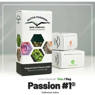 Dutch Passion Passion #1 semena neobsahují THC 5 ks